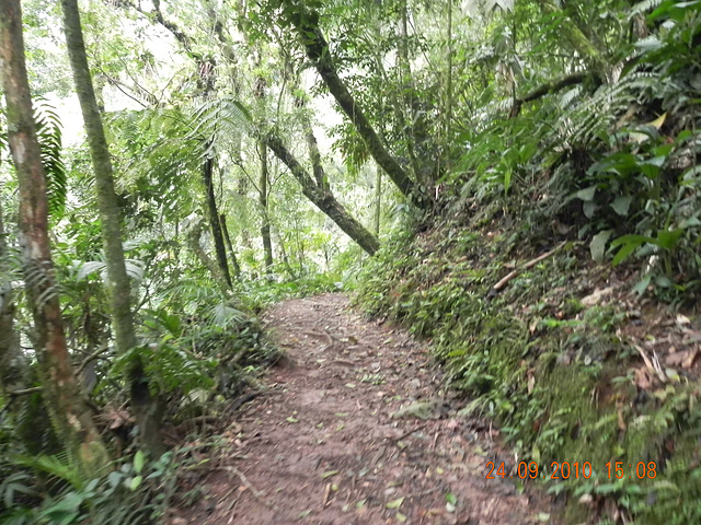DSCN1322