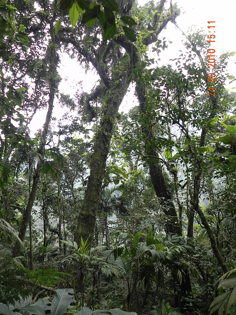 DSCN1334
