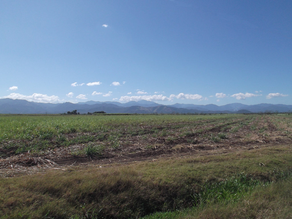 Dry crops & blue mountains / Paysage bleuté à la cubana.