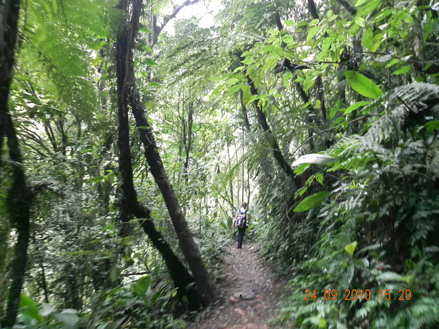 DSCN1367