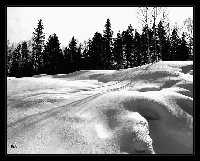 Ombres et lumieres  au Quebec