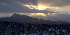 Paysage d'hiver au Québec