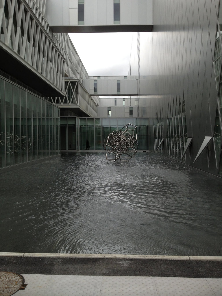 IMG 0813