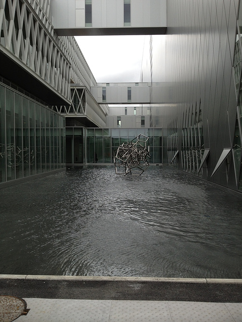 IMG 0813