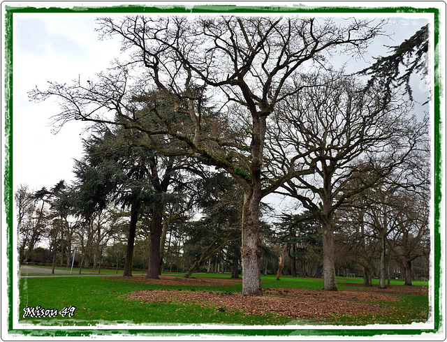 PARC du HUTREAU