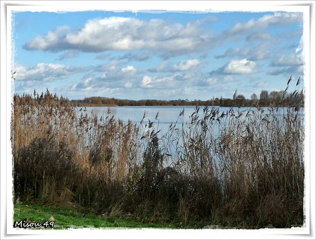 LA FLÊCHE