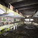 Saint Peter's Seminary, Cardross, Argyll and Bute, Scotland