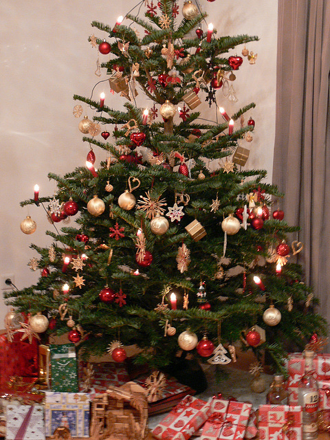 Christbaum 2012