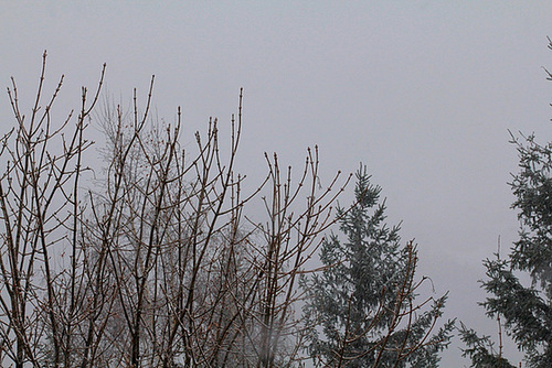 28 novembre -La neige arrive