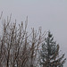 28 novembre -La neige arrive