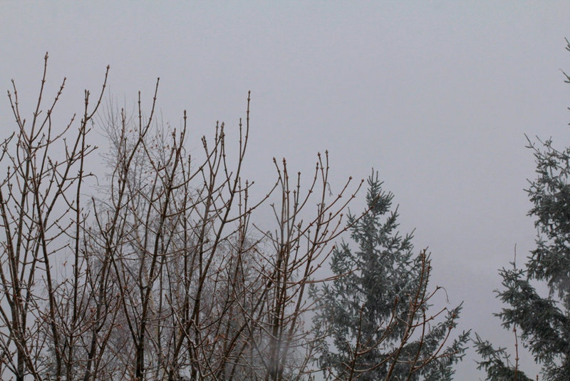 28 novembre -La neige arrive
