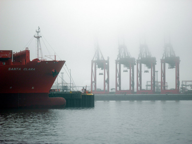 Kräne im Nebel und Bug