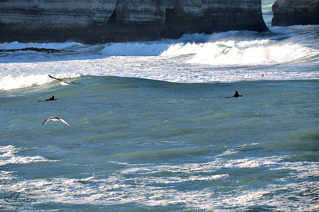 25 novembre 2012 ( Etretat) 462