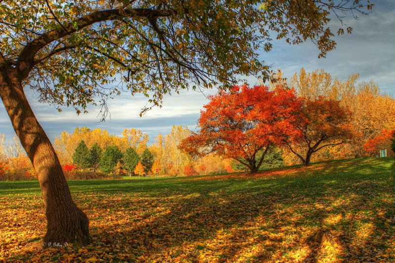 Les beautés de l'automne