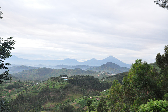 Fore jam videblas la vulkanoj de la Virunga Montaro