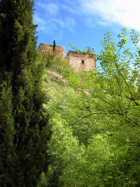 Autour de l'Alhambra 2