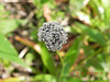 DSCN4176
