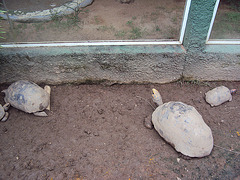 DSC01327