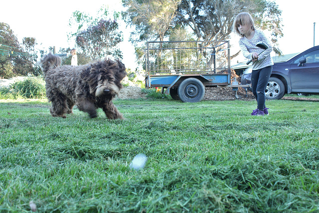 Eliza and Coco play golf