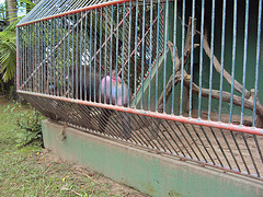 DSC01356