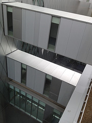 IMG 0795 IMG 0795