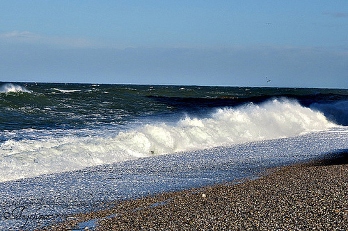 25 novembre 2012 ( Etretat) 443