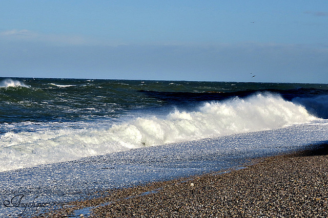 25 novembre 2012 ( Etretat) 443