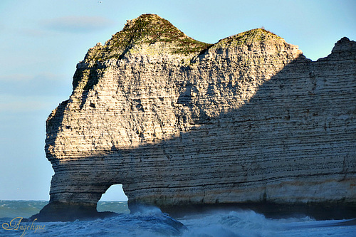 25 novembre 2012 ( Etretat) 433