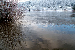 Elbe bei Pirna/Oberposta am 6.2.2013