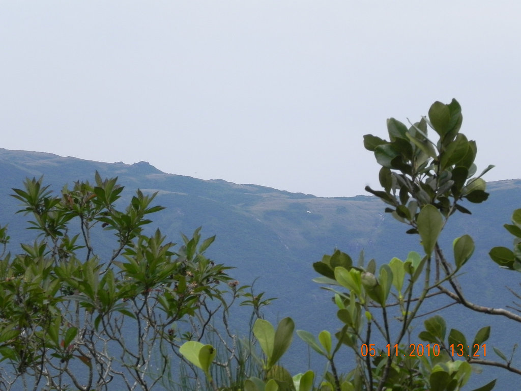 DSCN4403