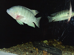 DSC01417