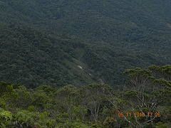 DSCN4420