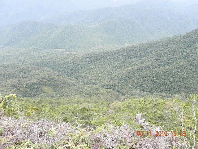 DSCN4424