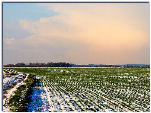 Lavilletertre