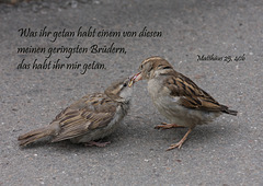 Spruchkarte 3/2015 - gedruckt