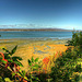 Le majestueux fleuve Saint-Laurent