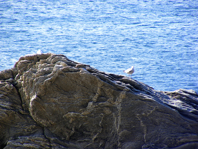 Duo à Quiberon