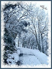 janvier 2013 072 Dordogne