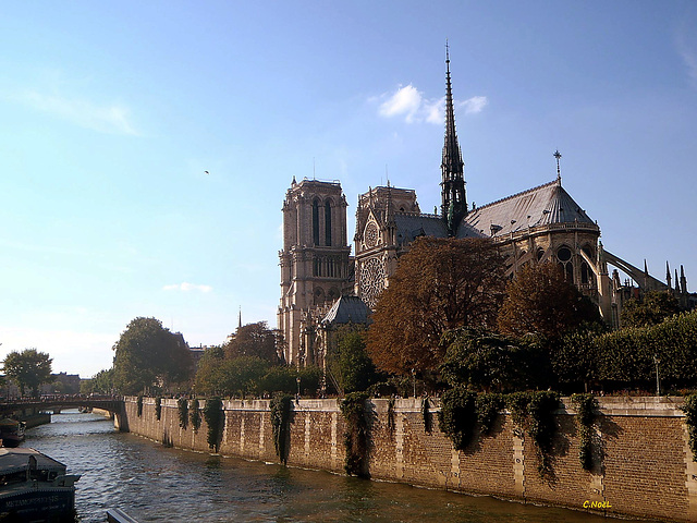 Notre Dame de Paris, vue de la Seine !