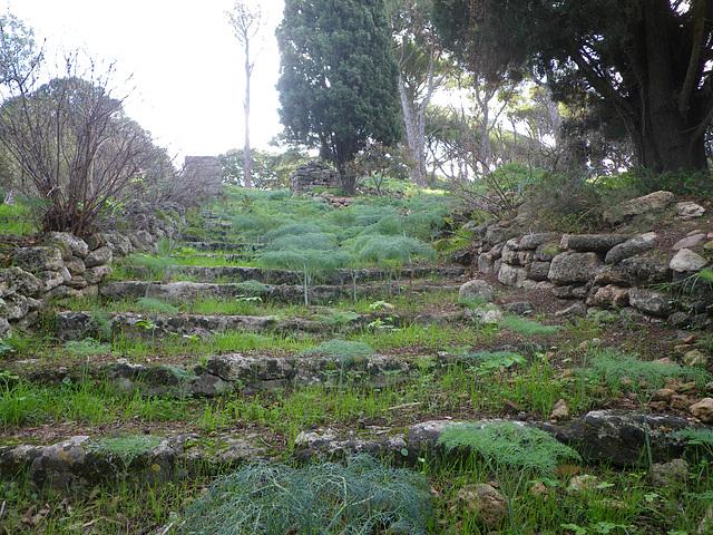 Escalier du monastère