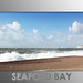 Seaford Bay - letterbox -  9.10.2014