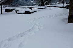 lavoir et traces de Neira dans la neige