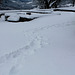 lavoir et traces de Neira dans la neige