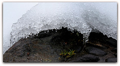 Dentelle de glace