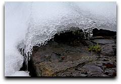 Dentelle de glace