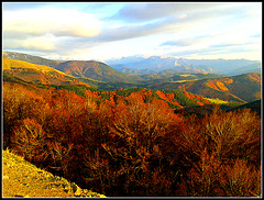 Otoño en la selva de Irati (Navarra)-25