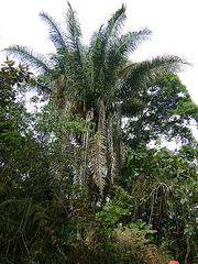 DSC00041