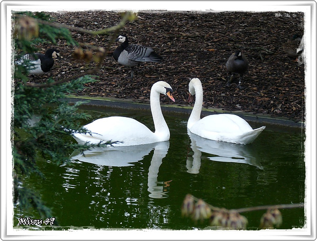 ANGERS