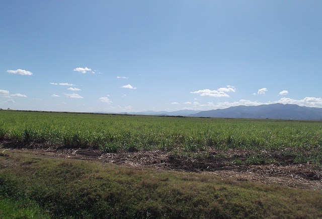 Campagne cubaine / Cuban country - 19 mars 2012.