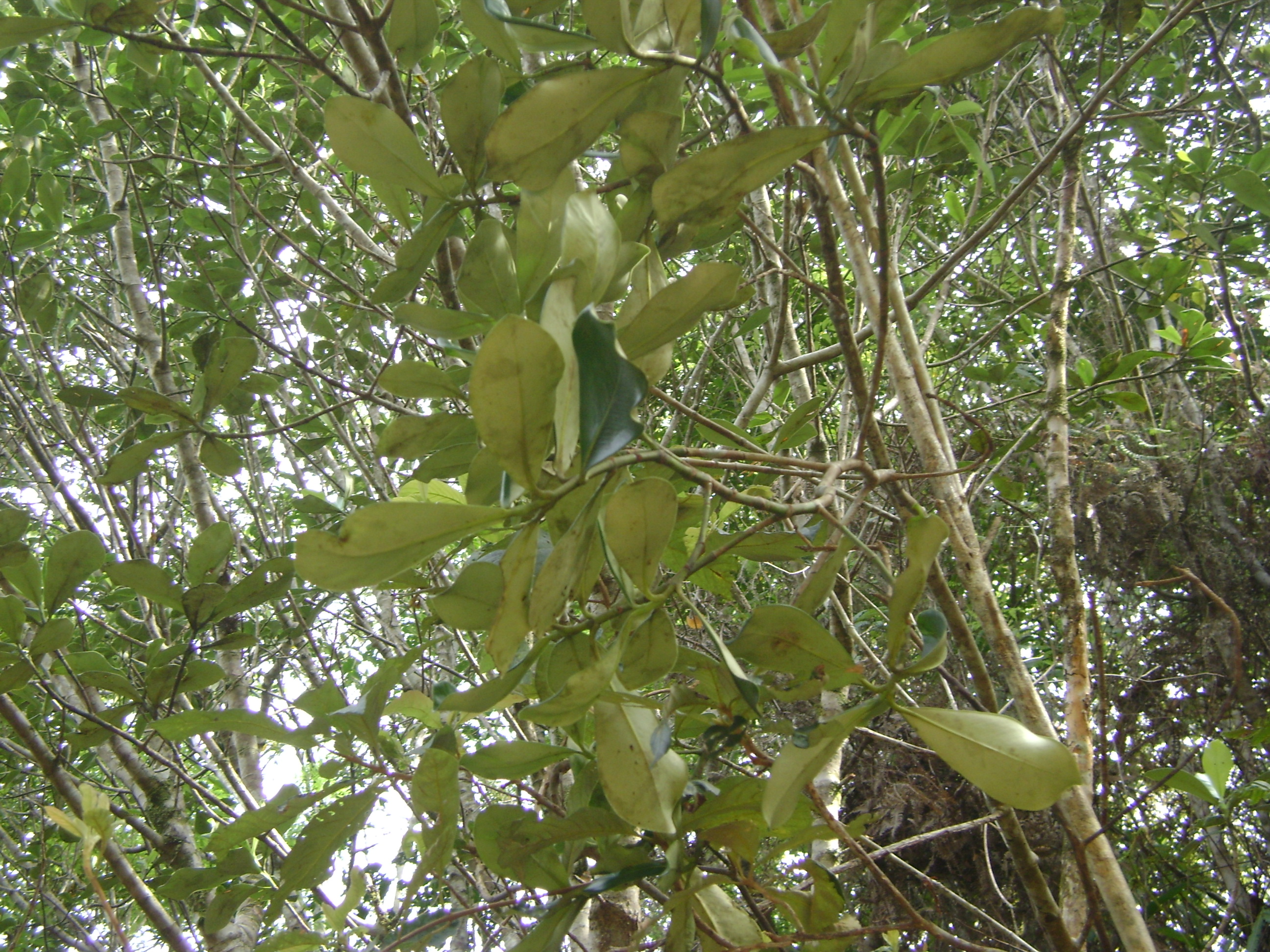 DSC00055